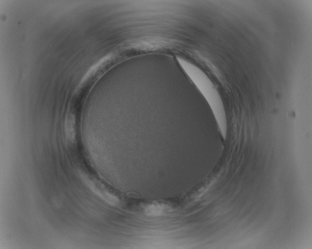 X0000079320400200612081939