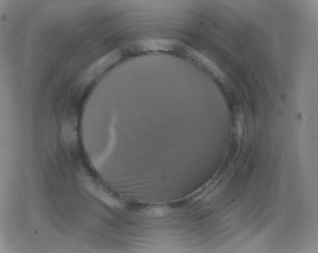 X0000079320402200612081939