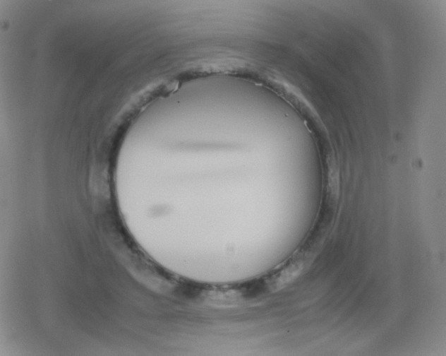 X0000079320403200612081939