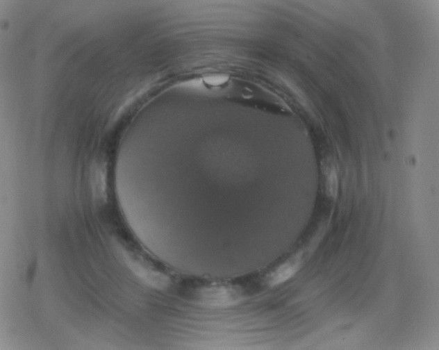 X0000079320404200612081939