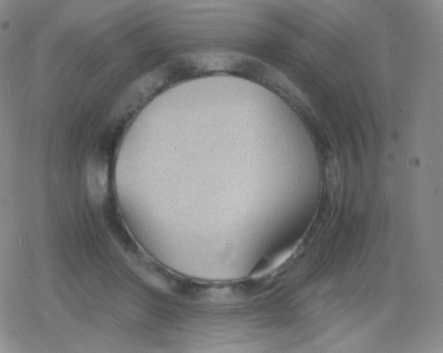 X0000079320406200612081939