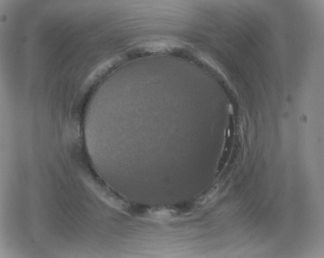 X0000079320407200612081939