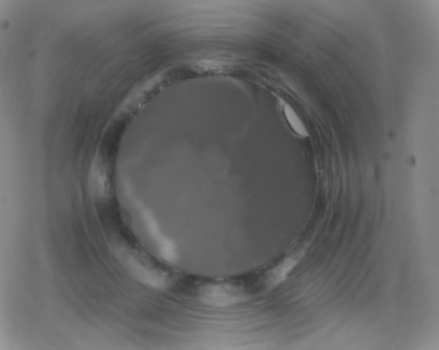 X0000079320408200612081939