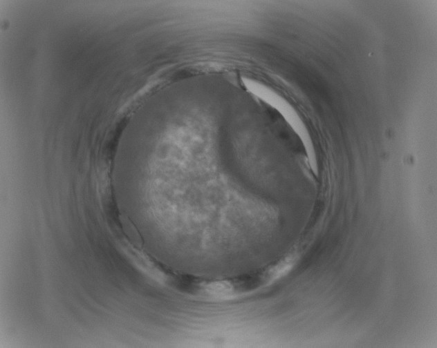 X0000079320409200612081939