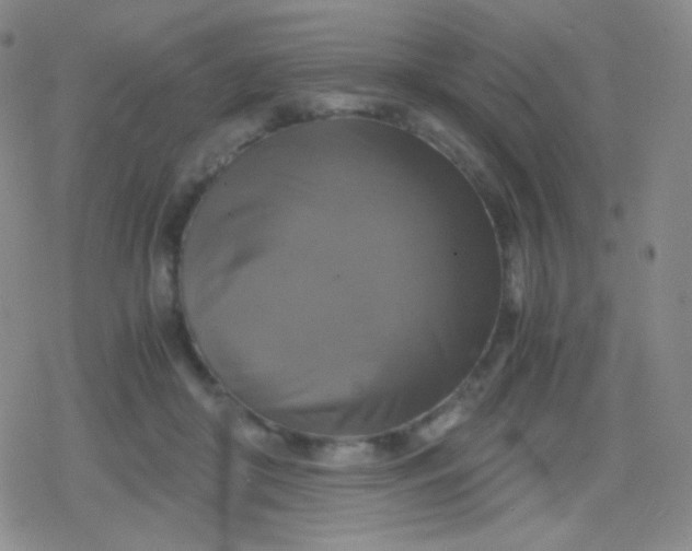 X0000079320410200612081939