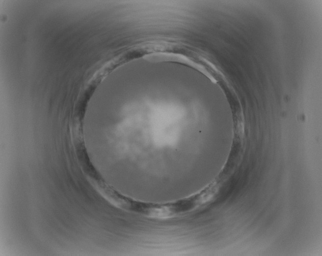 X0000079320411200612081939