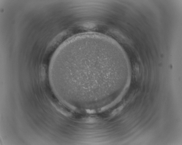 X0000079320412200612081939