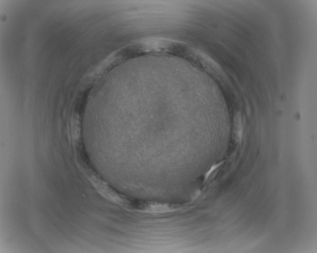 X0000079320413200612081939