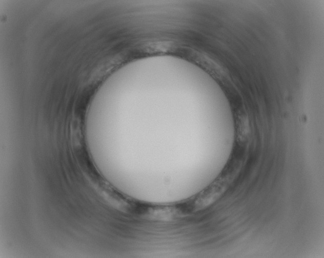 X0000079320414200612081939