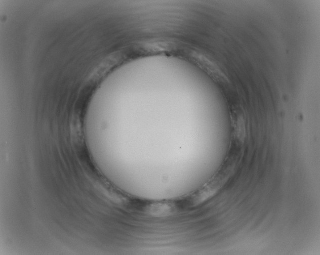 X0000079320418200612081939