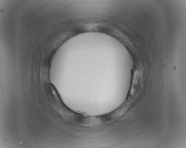 X0000079320421200612081939