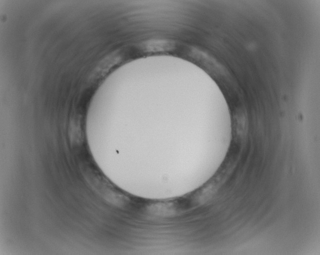 X0000079320422200612081939