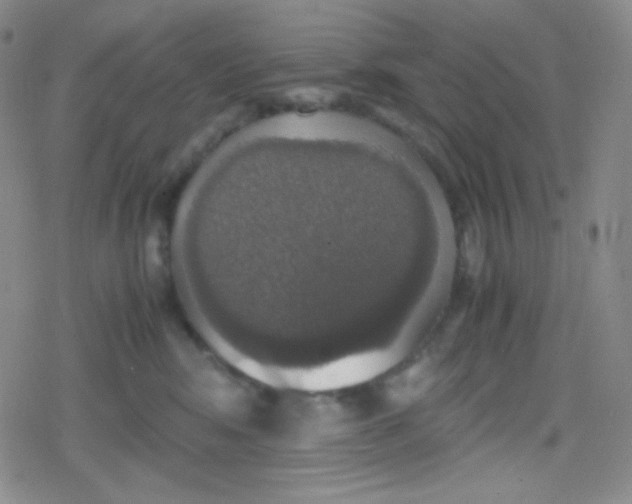 X0000079320424200612081939