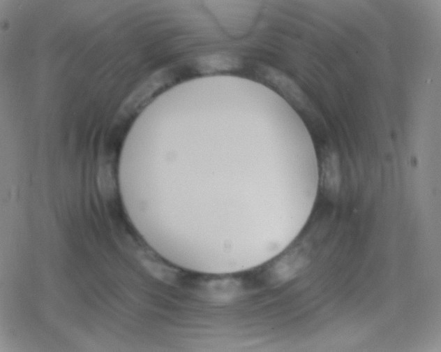 X0000079320426200612081939