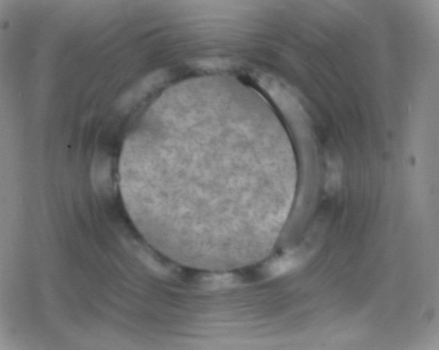 X0000079320428200612081939