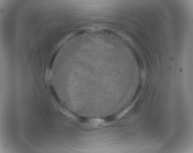 X0000079320429200612081939