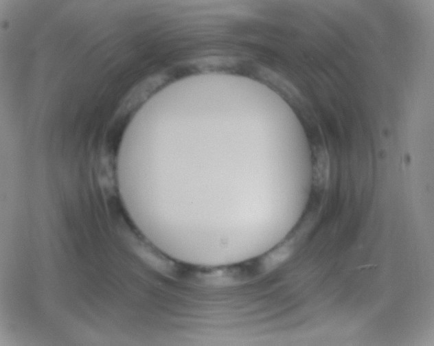 X0000079320430200612081939