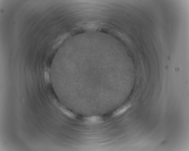 X0000079320432200612081939