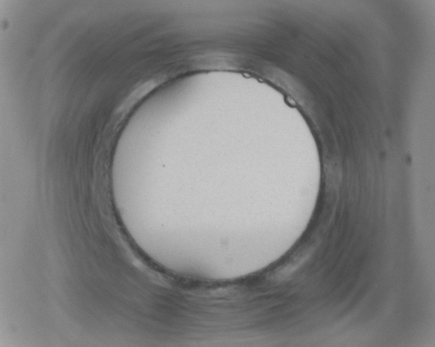 X0000079320433200612081938