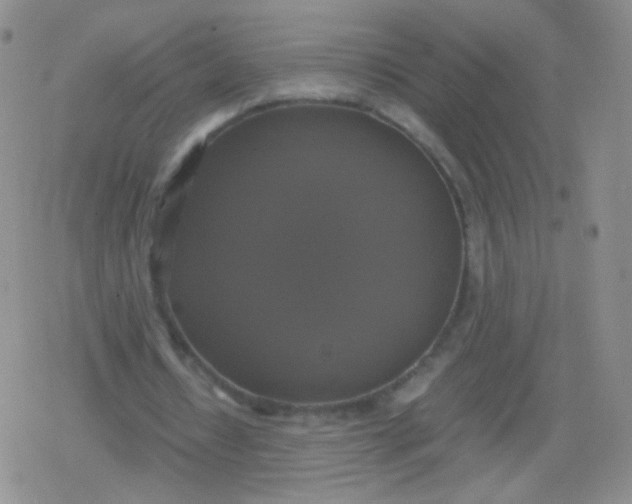 X0000079320434200612081938