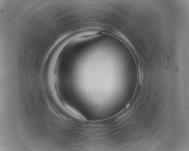 X0000079320435200612081938