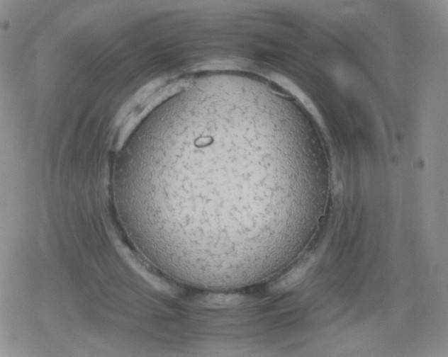 X0000079320437200612081938