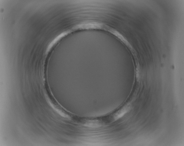 X0000079320438200612081938