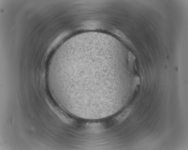 X0000079320440200612081938