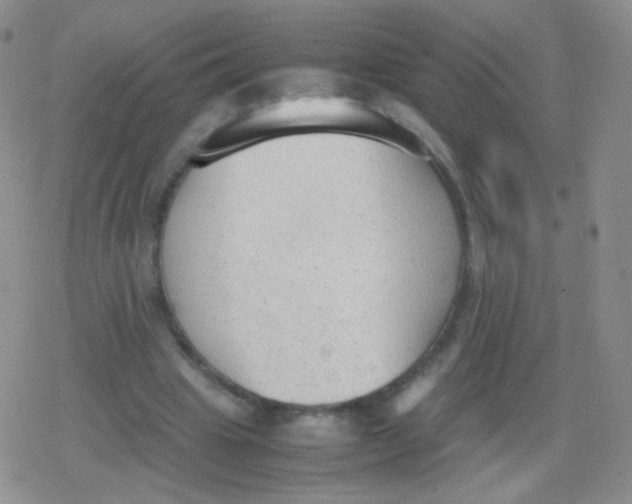 X0000079320441200612081938