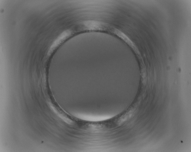 X0000079320442200612081938