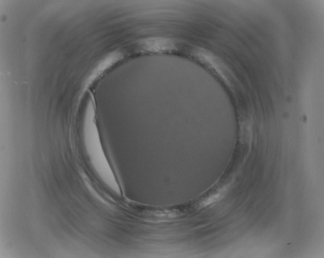 X0000079320443200612081938