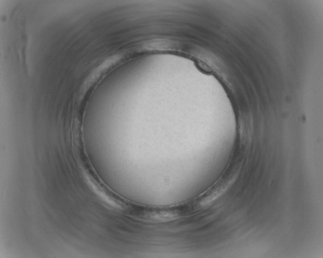 X0000079320445200612081938