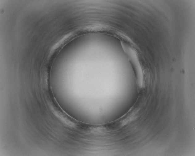 X0000079320446200612081938