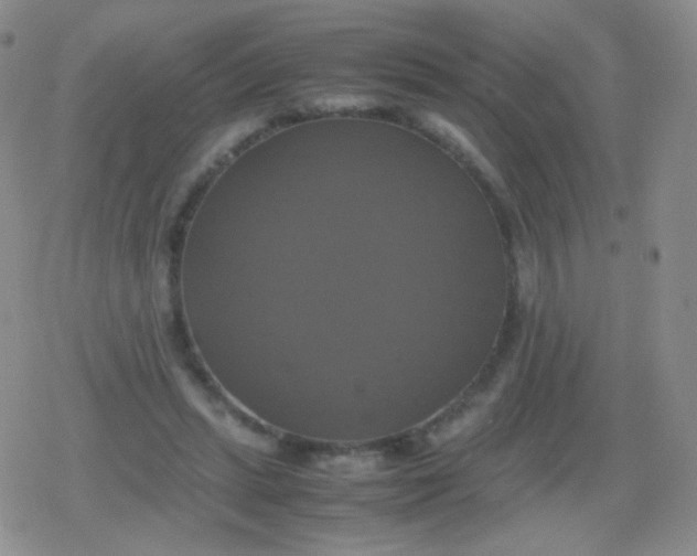 X0000079320447200612081938