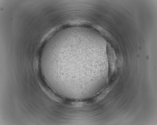 X0000079320448200612081938