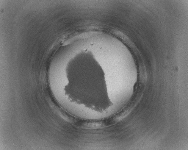 X0000079320449200612081938