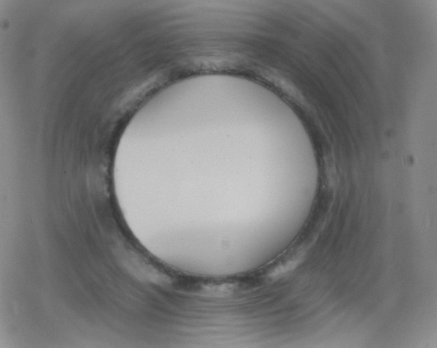 X0000079320450200612081938