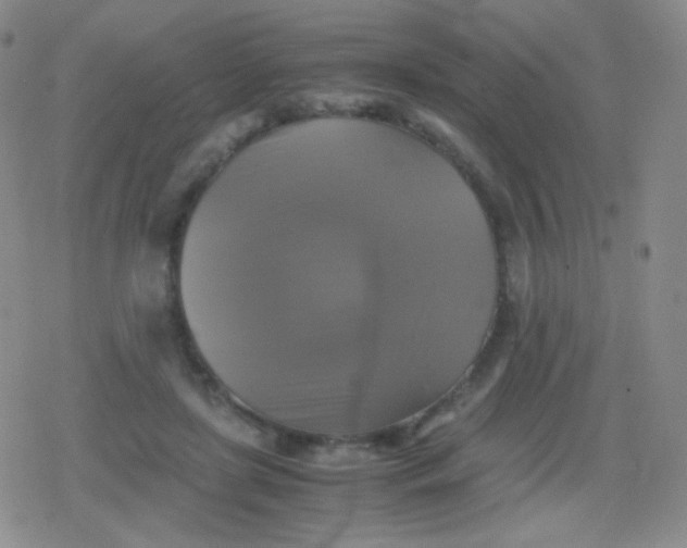 X0000079320451200612081938