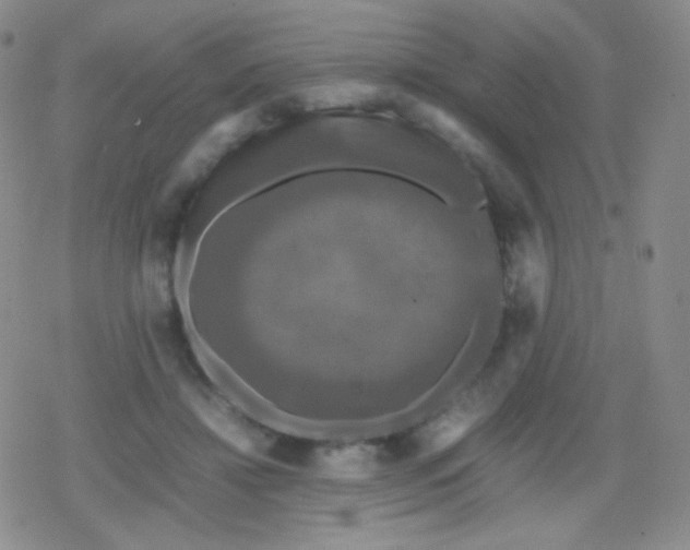 X0000079320452200612081938