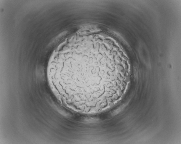 X0000079320453200612081938