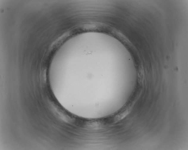 X0000079320454200612081938