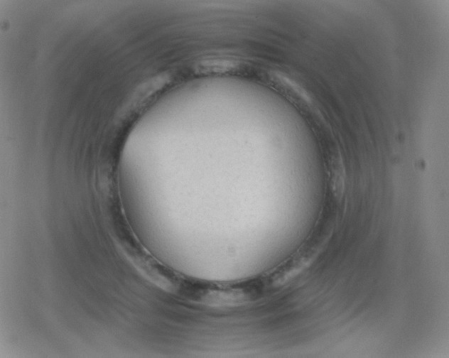 X0000079320455200612081938