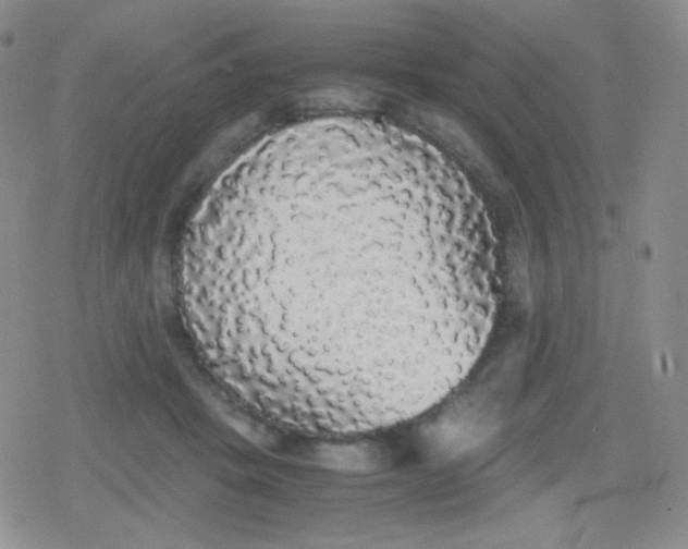 X0000079320457200612081938