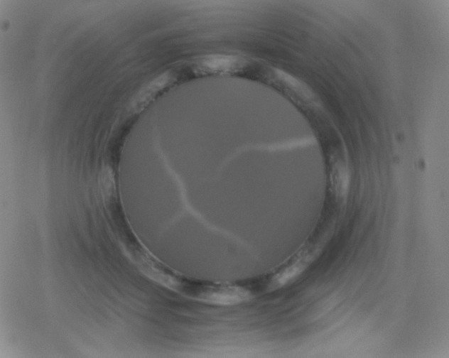 X0000079320459200612081938