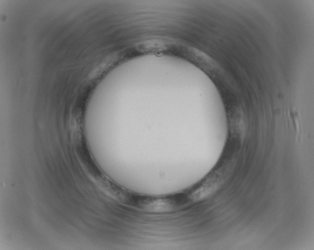 X0000079320460200612081938