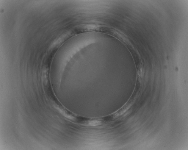 X0000079320462200612081938