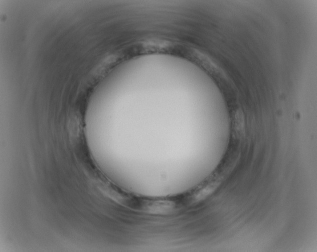 X0000079320463200612081938