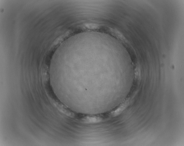 X0000079320464200612081938