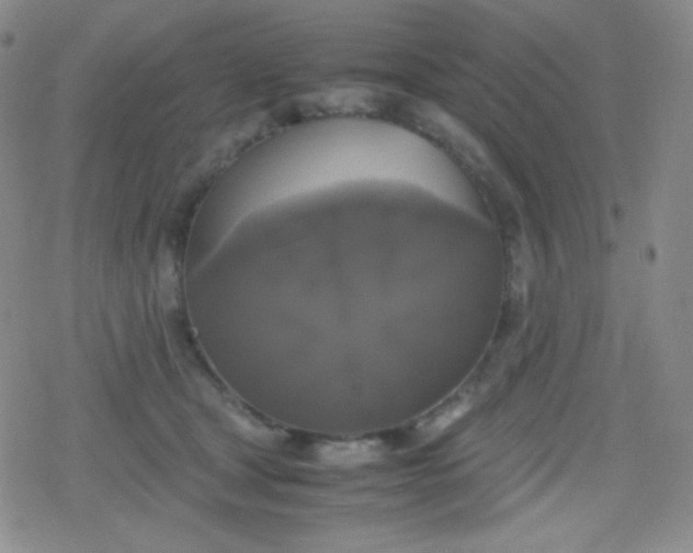 X0000079320465200612081938