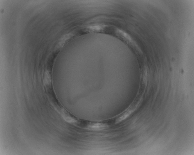 X0000079320467200612081938